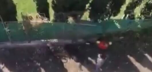 VIDEO: Muere motociclista luego de caer desde un puente vehicular en Edomex